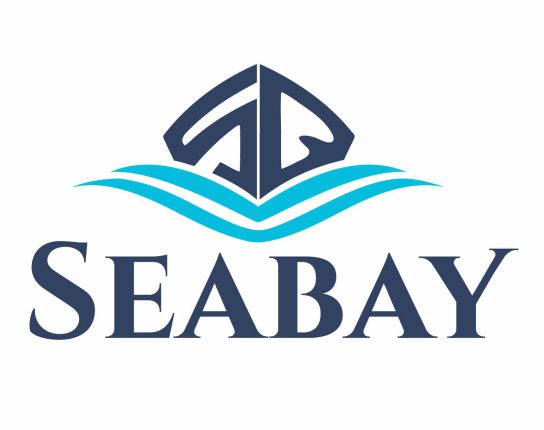 seabay或iginal logo turquoise charcoal winner transparent BG